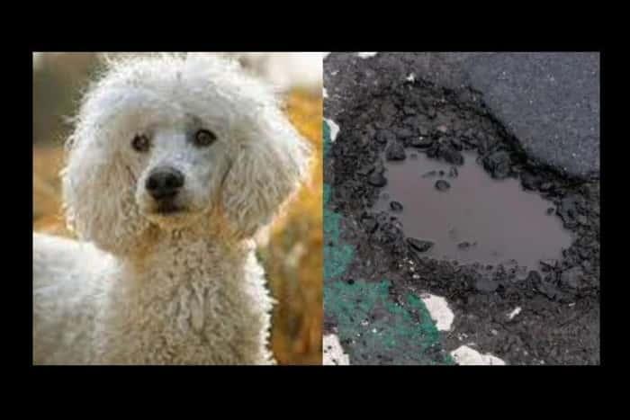 Com quem este buraco flagrado no Reino Unido se parece? - Reprodução/Lancashire Evening Post
