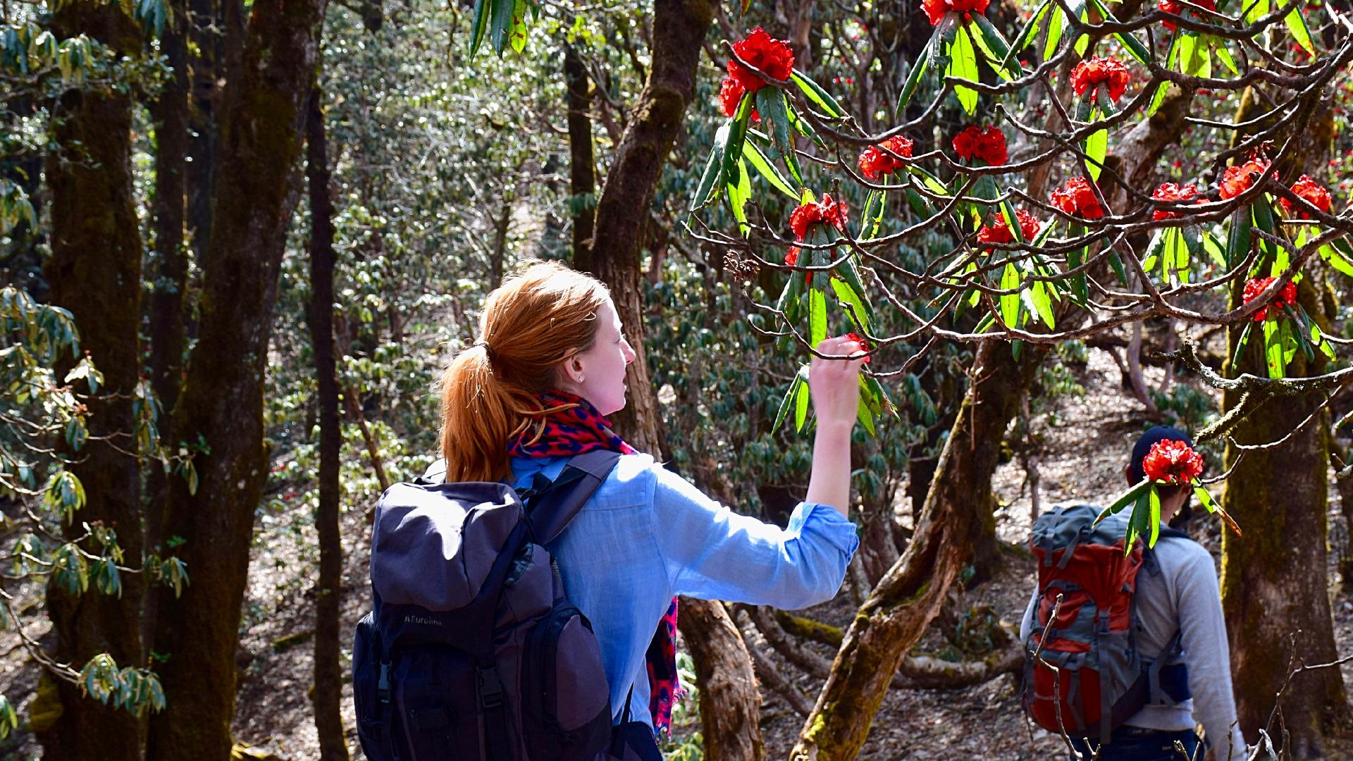 Village Ways - India/UOL