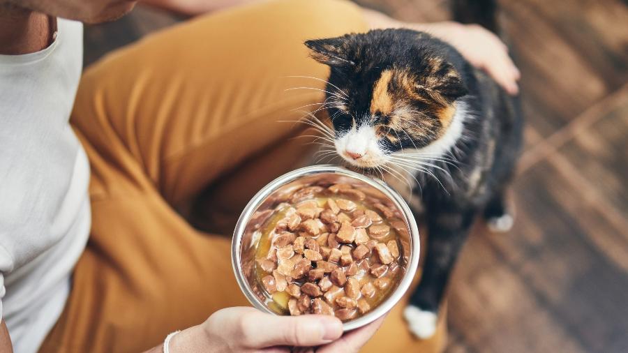 Oferecer ração com ingredientes adequados para a idade do animal contribui para longevidade Oferecer ração com ingredientes adequados para a idade do animal contribui para longevidade