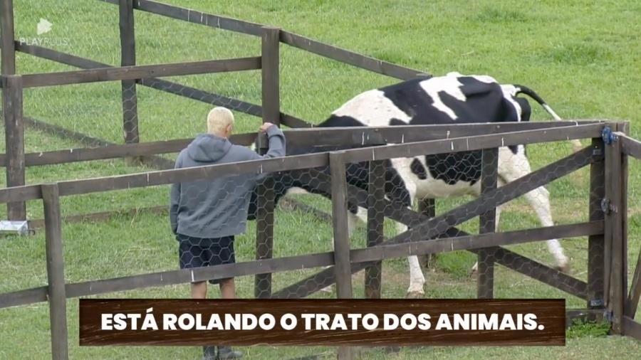 A Fazenda 2023: Vaca faz cocô antes do trato e WL comemora - Reprodução/PlayPlus