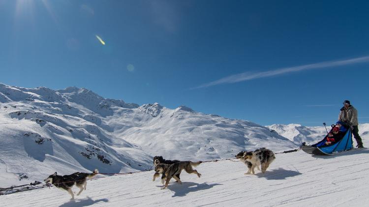 Trenó puxado por cães - T Loubere/Divulgação - T Loubere/Divulgação