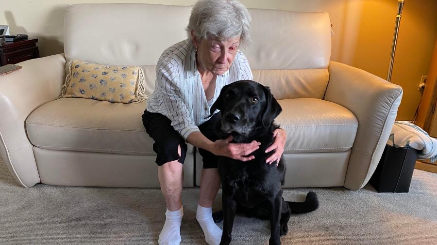Gail Lane com Piper, o labrador que é cão-guia de seu marido Gail Lane com Piper, o labrador que é cão-guia de seu marido