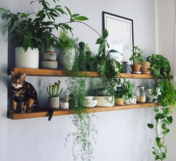 As 10 fotos mais bombadas na história do blog Urban Jungle Bloggers - Reprodução/Instagram