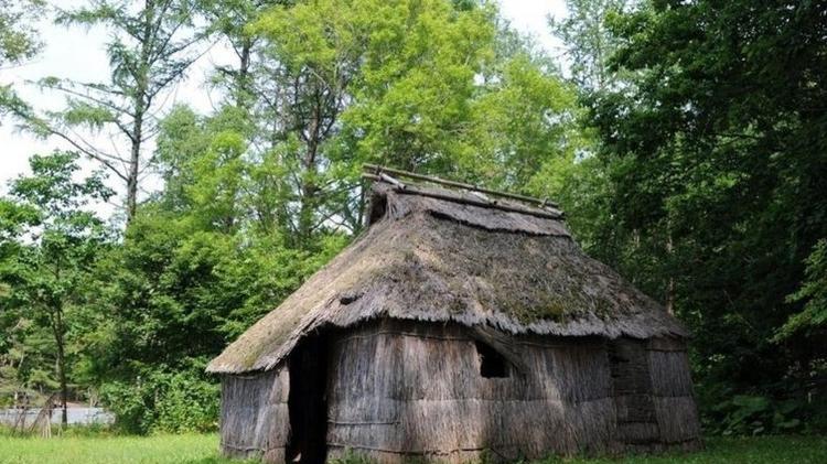 ainu - Getty Images/BBC - Getty Images/BBC