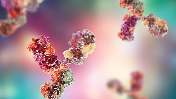 Representação de anticorpos, sistema imune - iStock - iStock