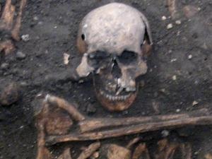 Another sample was taken from the skeleton of a late 14th century young adult male buried in Cambridge, UK - UNIVERSITY OF CAMBRIDGE - UNIVERSITY OF CAMBRIDGE