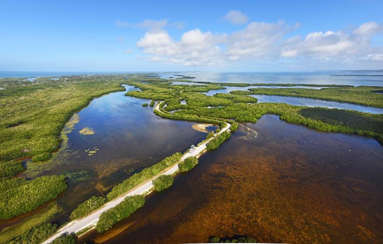 Uma única via principal corta Sanibel e percorre também o parque Ding Darling Uma única via principal corta Sanibel e percorre também o parque Ding Darling