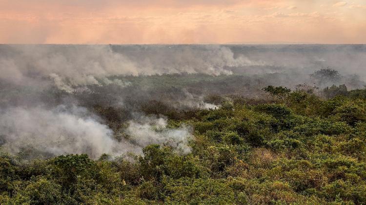 Incêndio no Pantanal de Corumbá em junho de 2024 Incêndio no Pantanal de Corumbá em junho de 2024