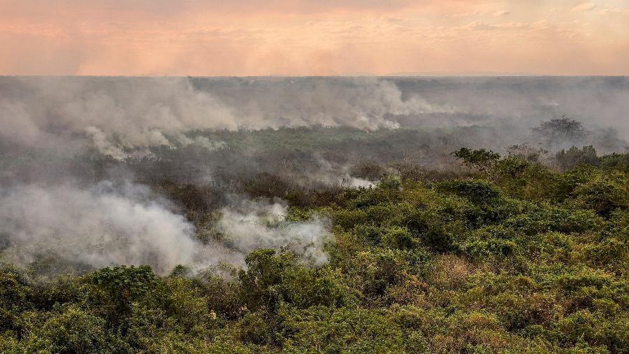 Incêndio no Pantanal de Corumbá em junho de 2024