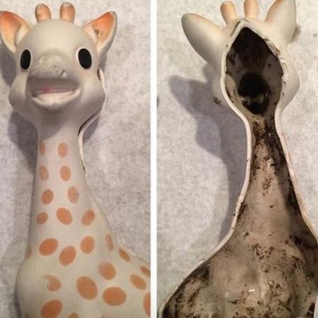Pais abrem a girafa Sophie e descobrem fungo preto dentro do brinquedo mordedor - Reprodução/Instagram