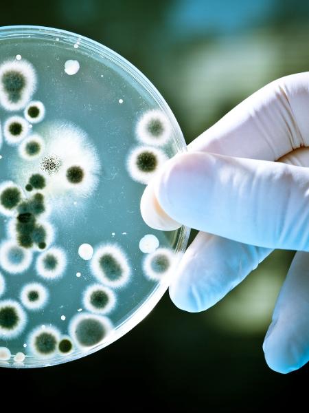 Composto químico engana bactéria resistente à antibióticos - iStock