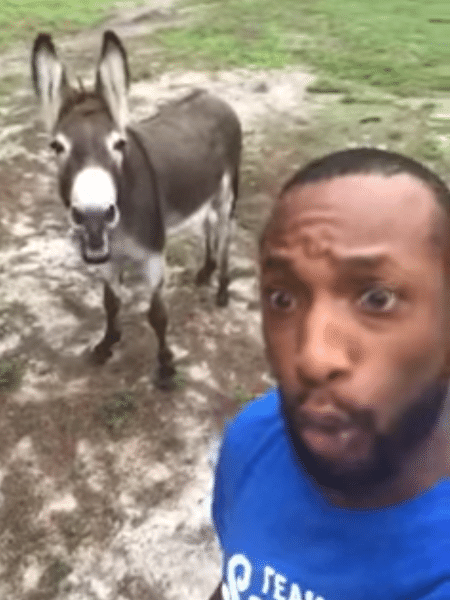 Vídeo viral traz homem cantando O Rei Leão com um burro - Reprodução/Facebook