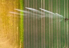 Produtores criam 'COP do Agro', mas podem prejudicar imagem