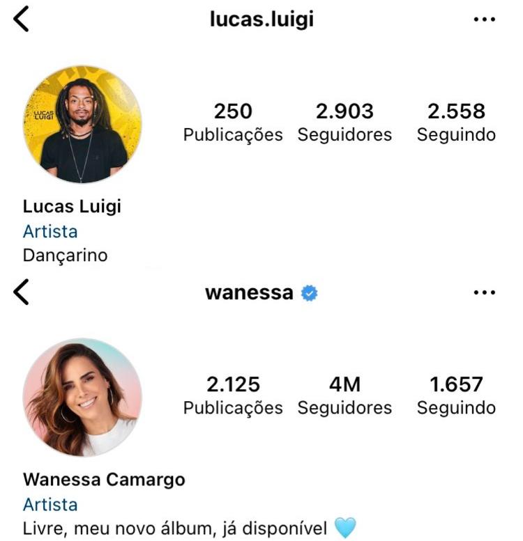 Veja os seguidores de Lucas Luigi e Wanessa Camargo no anúncio do "Big Day"