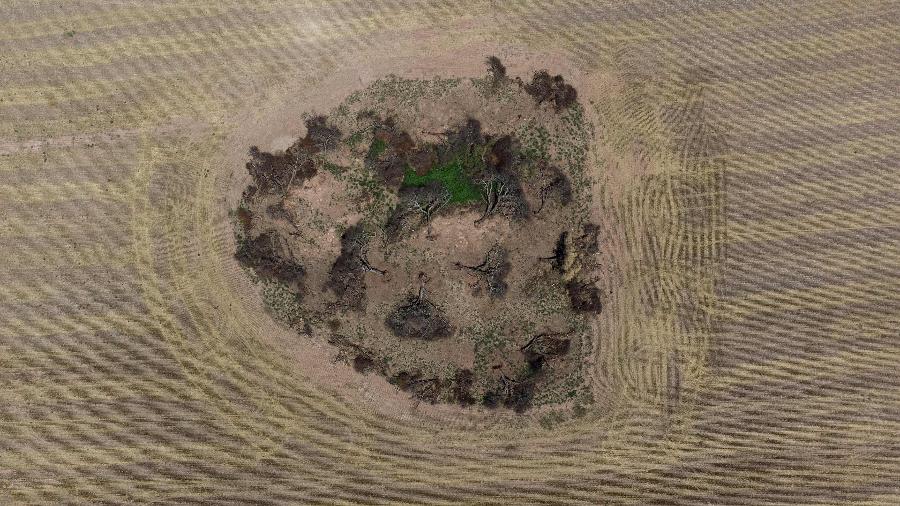 Vista aérea de árvores destruídas em uma área desmatada na floresta do Gran Chaco, na Argentina