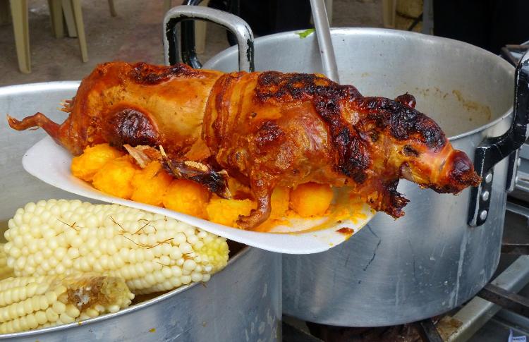 Vai um assado de porquinho-da-índia? O cui é um prato típico no Equador Vai um assado de porquinho-da-índia? O cui é um prato típico no Equador