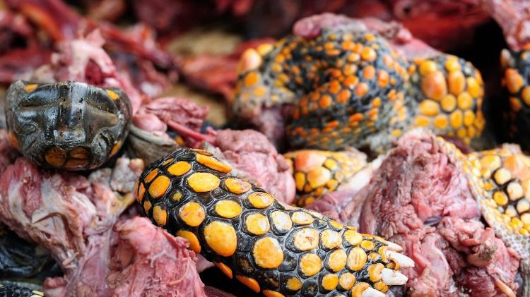 Carne de tartaruga: tradição culinária da região da Amazônia - rchphoto/Getty Images/iStockphoto - rchphoto/Getty Images/iStockphoto