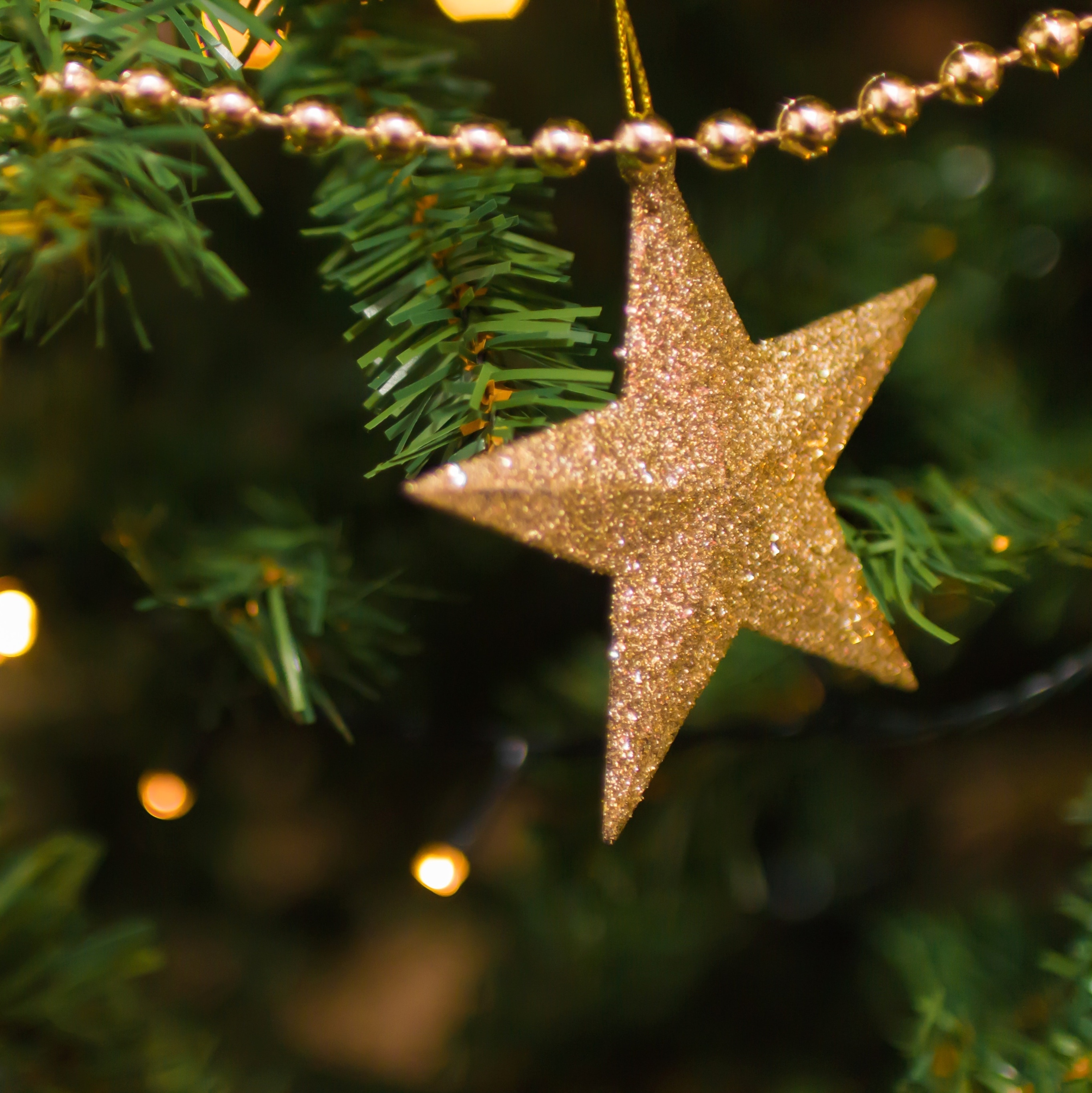 Vem que está chegando o Natal: conheça algumas dicas de decoração