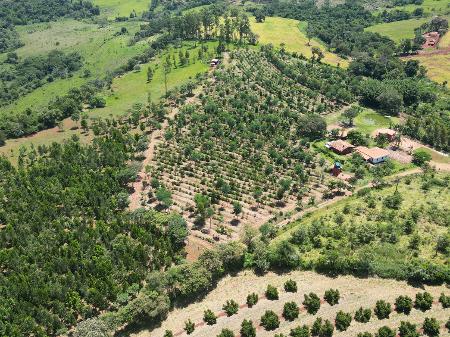 Investindo no sistema agroflorestal, Valter Ziantoni conseguiu dobrar sua produc?a?o de cafe? - Arquivo pessoal/Valter Ziantoni