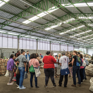'Empregos verdes' devem gerar 7 milhões de vagas no Brasil