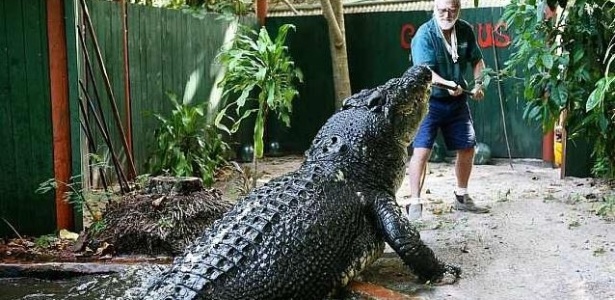 George Craig fica pequeno perto do crocodilo, que tem 5,48 metros de comprimento - Divulgação/Marineland Melanesia