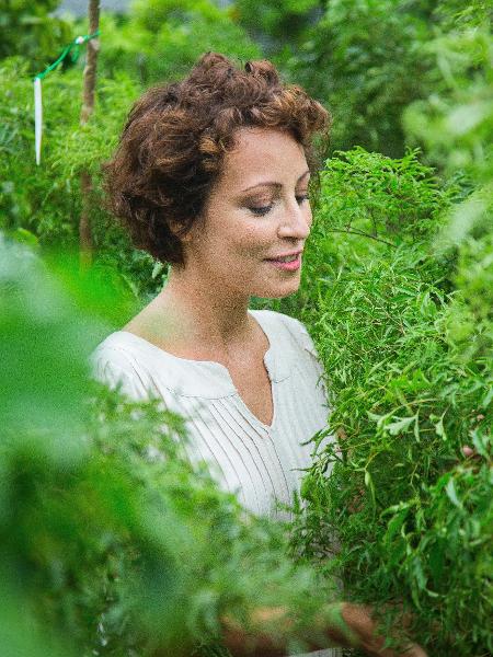 Autora do livro "Minhas Plantas: Jardinagem para Todos", jornalista Carol Costa ensina a fazer uma "selva" em casa - Bruno Geraldi/Divulgação
