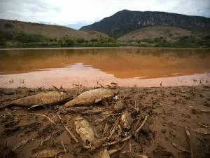 Mineradora nega culpa pela tragédia de Mariana em julgamento na Inglaterra