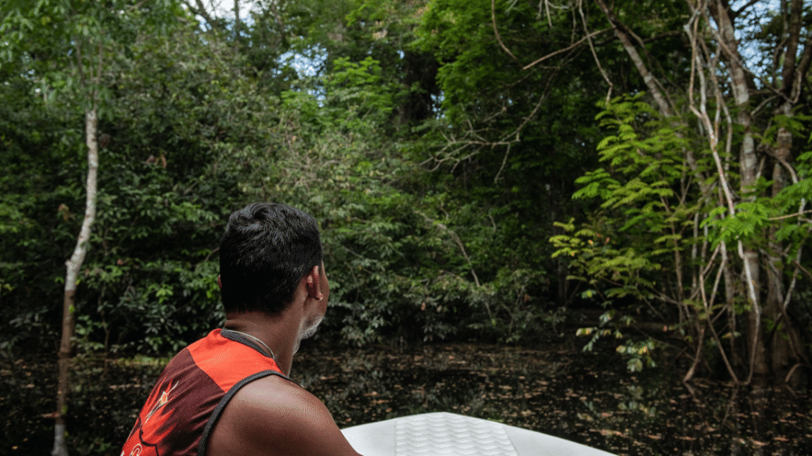 Igarapé na região do Rio Negro (AM) - Xavier Bartaburu