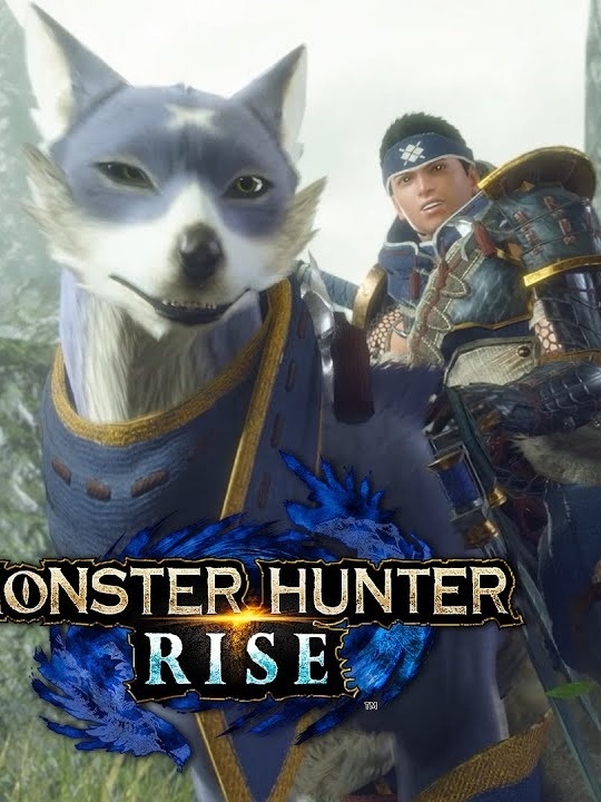 Monster Hunter Rise - Metacritic