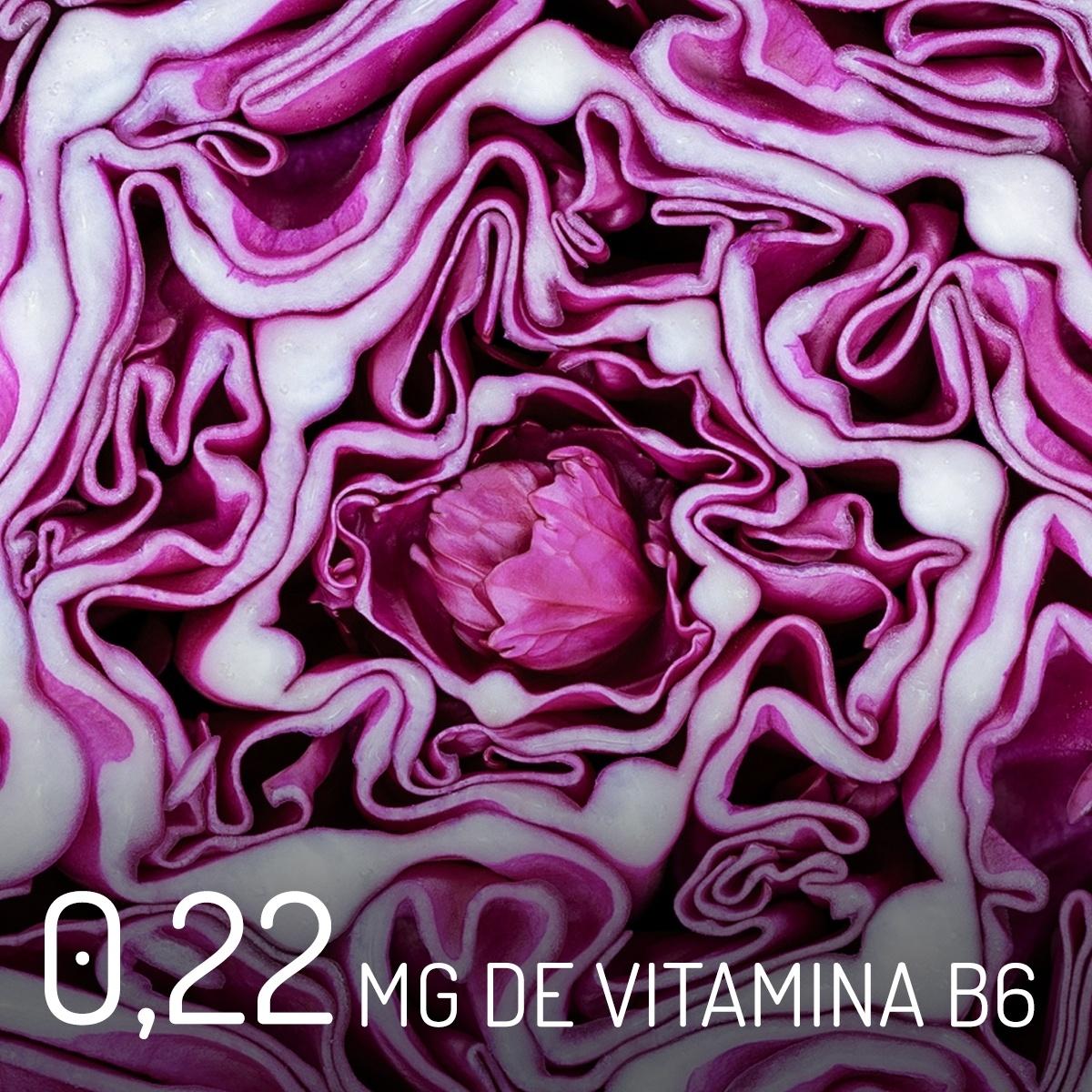 Repolho roxo vitamina B6 - iStock / Arte UOL