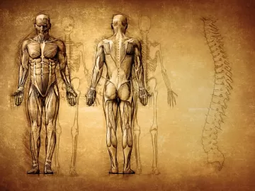 Julián Fuks: Das estranhezas do corpo humano e a impermanência do que somos