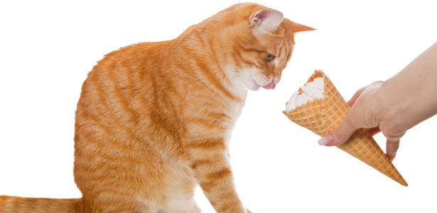 Doces e sorvetes são enorme risco para animais de estimação que desenvolvem diabetes - Getty Images