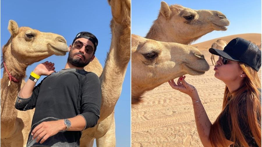 Fernando Zor e Maiara aproveitam viagem a Dubai ao lado de camelos - Reprodução/Instagram