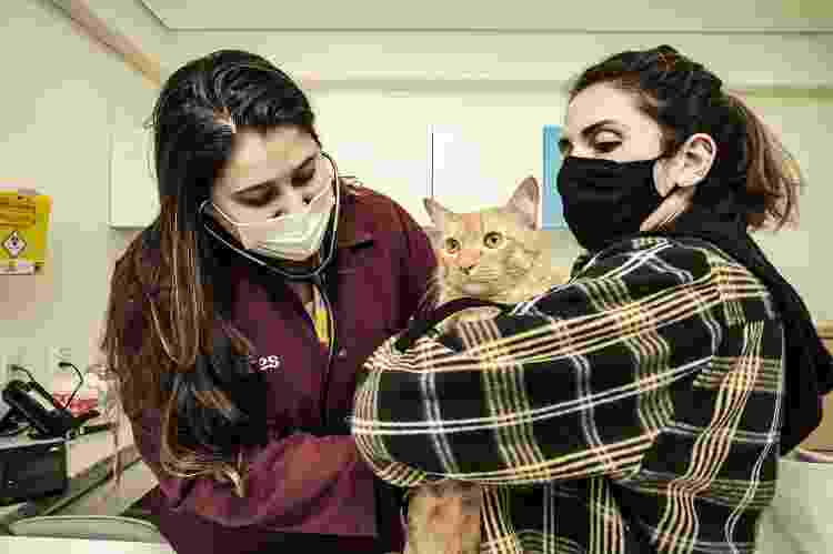 A jornalista Juliana Finardi e seu gato Caetano chegam para o check-up na clínica Seres da Petz - Fernando Moraes/UOL - Fernando Moraes/UOL