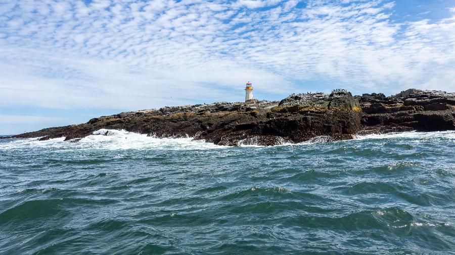 Machias Seal Island, território disputado por EUA e Canadá Machias Seal Island, território disputado por EUA e Canadá