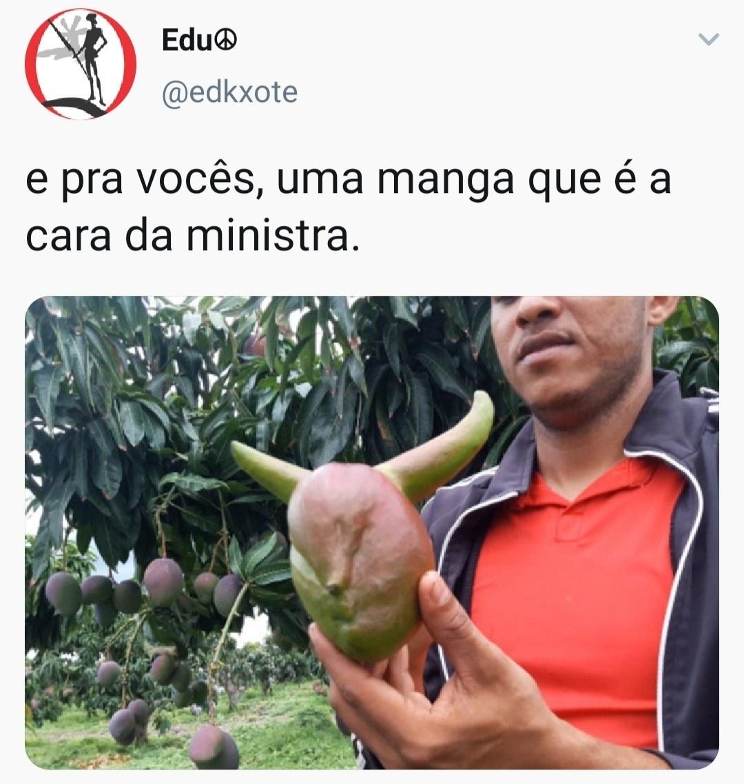 Tem um meme bacana? Mostre no BOL: (11) 97335-6855 - Reprodução/Twitter