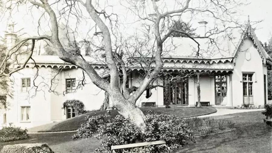 Fotografia de Adelaide Cottage, Home Park, Windsor, perto de uma grande árvore - The Royal Collection Trust / Divulgação