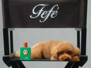 Bicho cheirosinho: grife Dolce & Gabbana lança perfume para cães a R$ 600