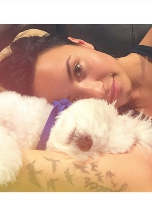 Demi Lovato lamentou a morte do cachorro Buddy