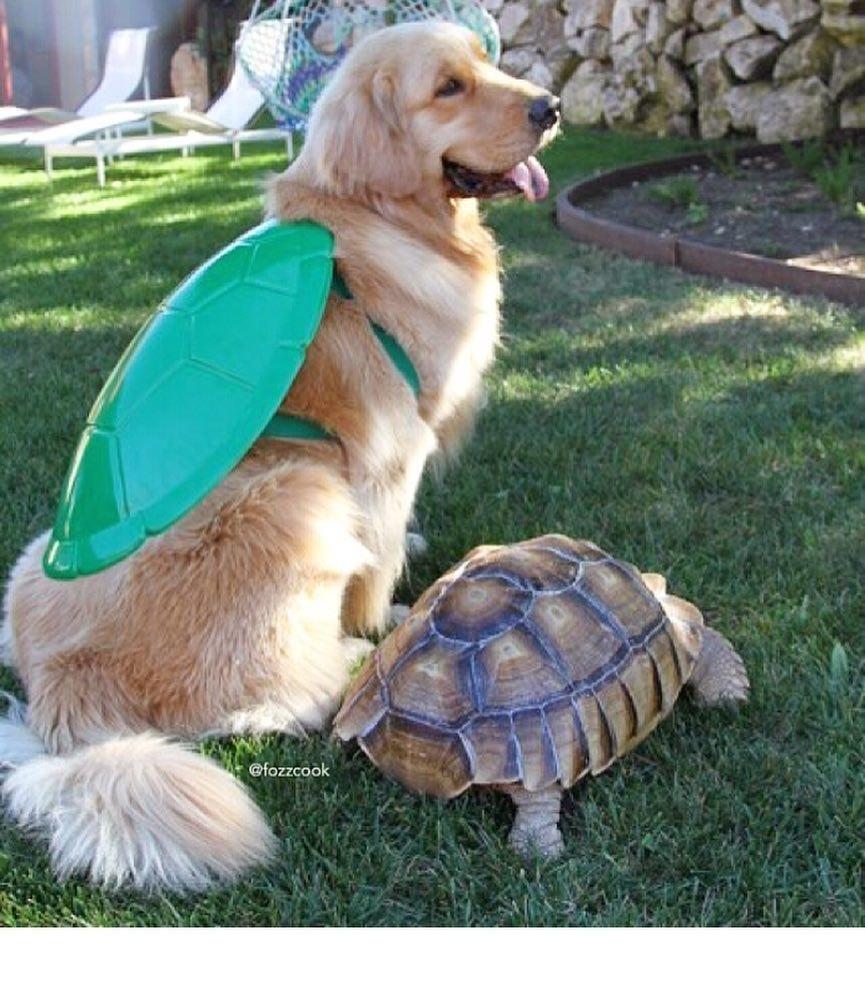 Larry e Cricket - Reprodução/Instagram