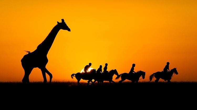 Sem a renda de atividades de turismo viável, como cavalgadas na savana, operações anti-caça podem ser afetadas - Great Plains Conservation