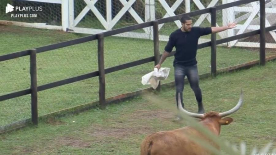 A Fazenda 2021: Bil Araújo conversa com vaca de chifres - Reprodução/PlayPlus