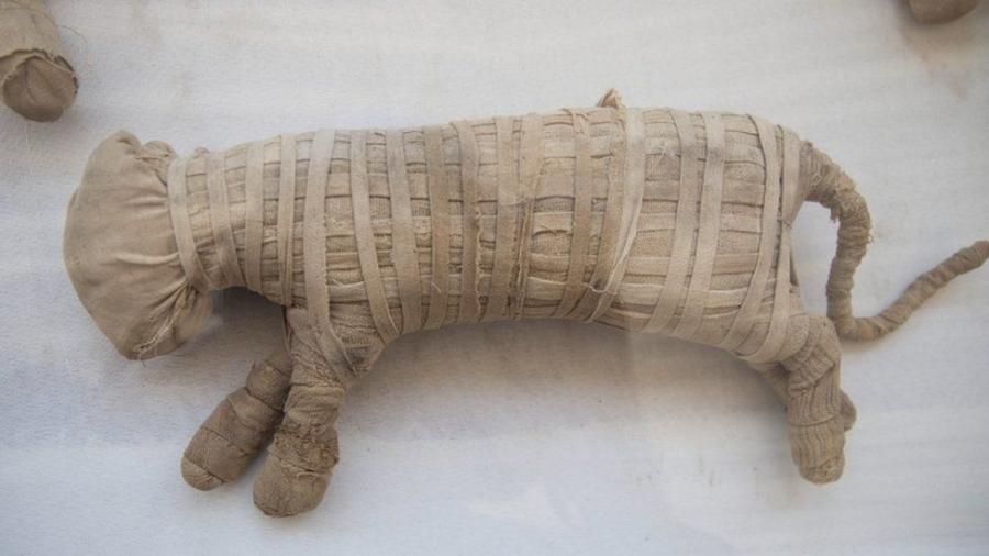 Os arqueólogos acreditam que dois dos animais mumificados podem ser filhotes de leão - Reprodução/Reuters