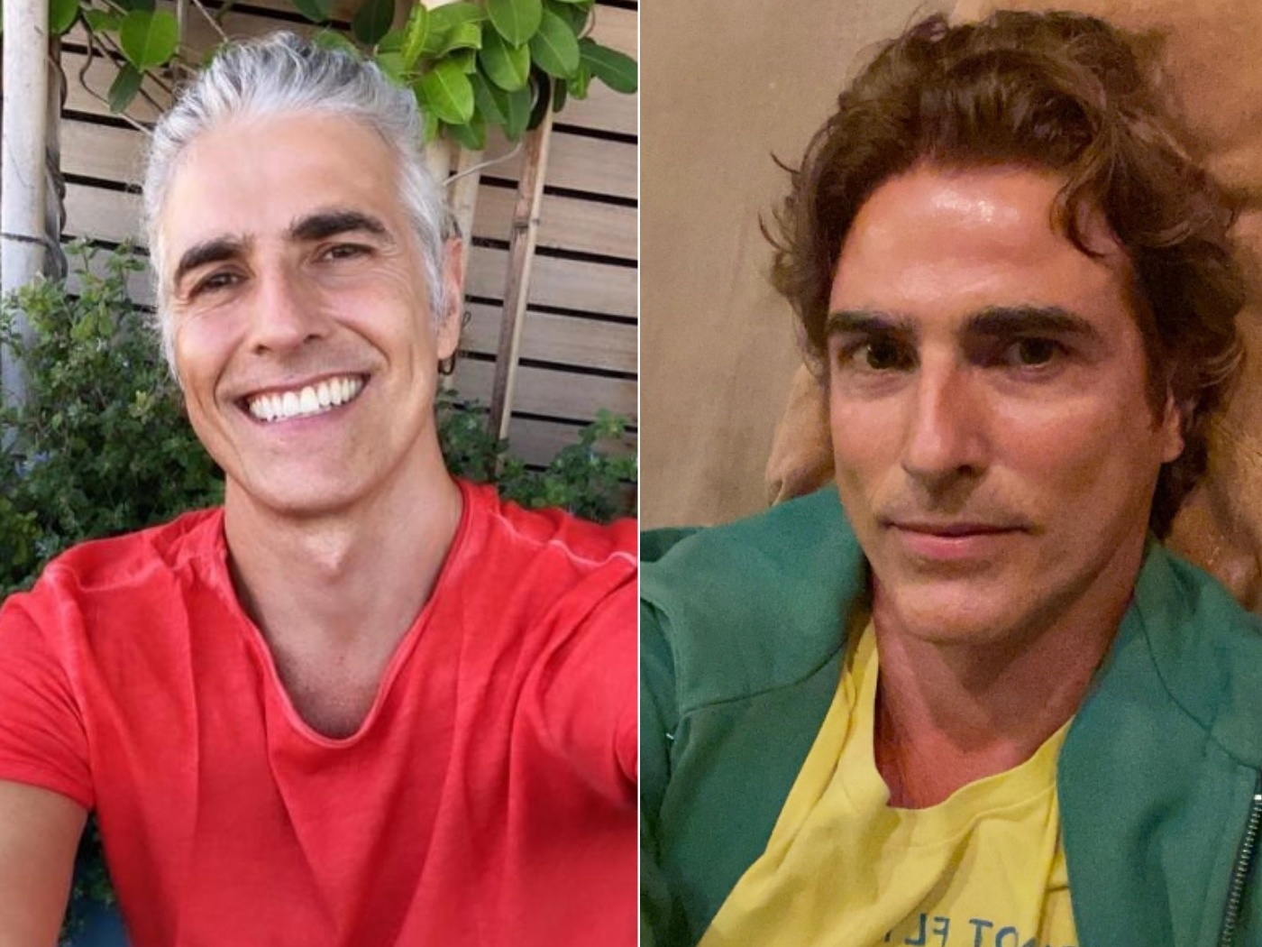 Reynaldo Gianecchini Desiste Do Grisalho E Pinta O Cabelo De Castanho 27 10 2020 Uol Tv E Famosos