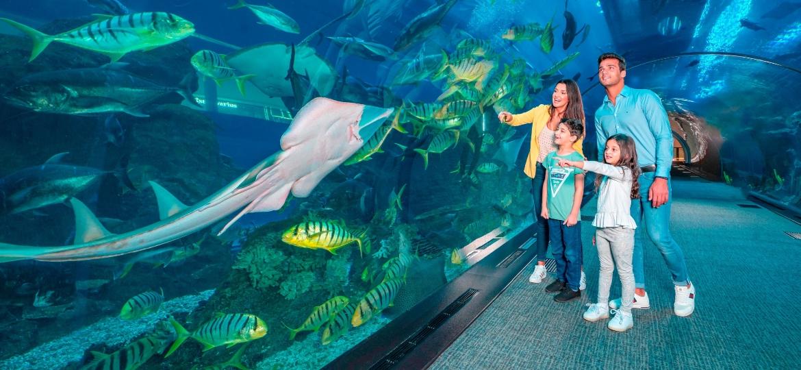 Família curte Dubai Aquarium and Underwater Zoo tour, que tem ingressos a partir de R$ 274 - Divulgação