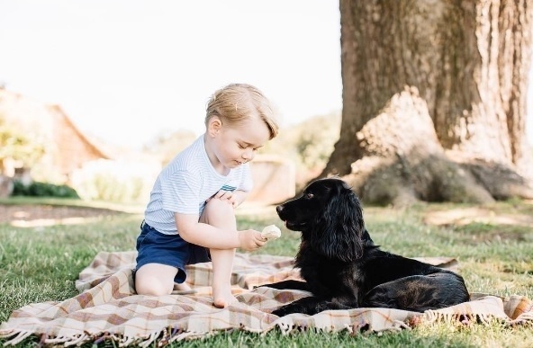 Primeiro filho de William e Kate Middleton, Príncipe George completa três anos nesta sexta-feira. Nas redes sociais, o Palácio de de Kensington divulga fotos do menino para comemorar a data - Reprodução/Twitter/kensingtonroyal