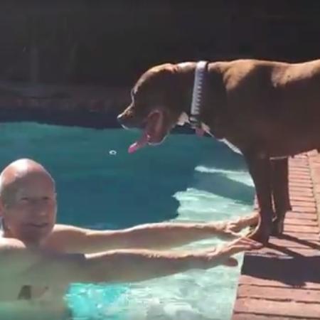 Patrick Stewart se diverte com sua cadela pit bull Ginger - Reprodução