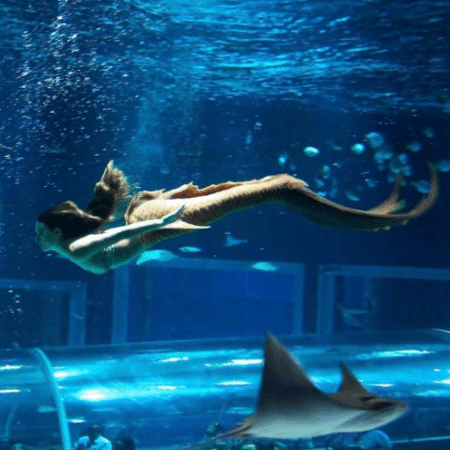 Isis Valverde mostra clique de Ritinha trabalhando como sereia no aquário em "A Força do Querer" - Reprodução/Instagram/isisvalverde