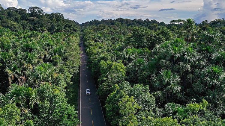 Trecho da BR-174 que atravessa a Terra Indígena Waimiri-Atroari, no Amazonas