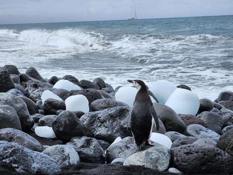 Ilha Bouvet - Histórias do Mar - Bouvet Island DXpedition - Bouvet Island DXpedition